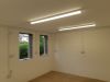 Lighting and Sockets in Shed